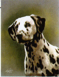 View Dalmation Garden Flag 12"x18" - FCM062CF
