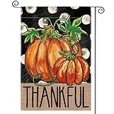 View AVOIN colorlife Fall Thankful Thanksgiving Garden Flag 12x18 Inch Double Sided, Pumpkin Polka Dots Harvest Holiday Yard Outdoor Decorative Flag - 