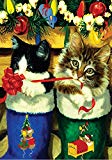 View Stocking Kittens  Decorative Christmas Holiday Cat Gift Ribbon Garden Flag - 