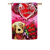 View Evergreen Valentine's Dog Suede House Flag - 