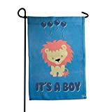 View Port North Outdoor Garden Flag | It's A Boy | Cute House Decor Double-Sided Flags Made | Great for Garden, Yard, Porch & Patio | 12 x 18 Inches - 