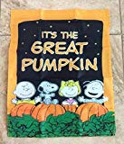 View Peanuts Snoopy Charlie Brown 14x18 inches Garden Flag Great Pumpkin  - 