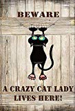 View Beware a Crazy Cat Lady Lives Here, Decorative Garden Flag, Double Sided, 12" x 18" Inches, Cat Woman Black Cat Sign Banner - 