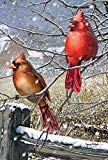View Toland Home Garden Blizzard Buddies 28 x 40 Inch Decorative Winter Cardinal Bird House Flag - 