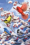 View Toland Home Garden Finch And Cardinal 12.5 x 18 Inch Decorative Winter Bird Berries Garden Flag - 1110478 - 