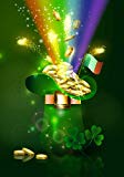 View Dtzzou Happy St Patrick's Day Green Hat Garden Flag 12" x 18" Decorative Shamrock Clover Garden Flag Gold Pot Coin Rainbow Double Sided Flag for St. Patrick's Day Decoration - 